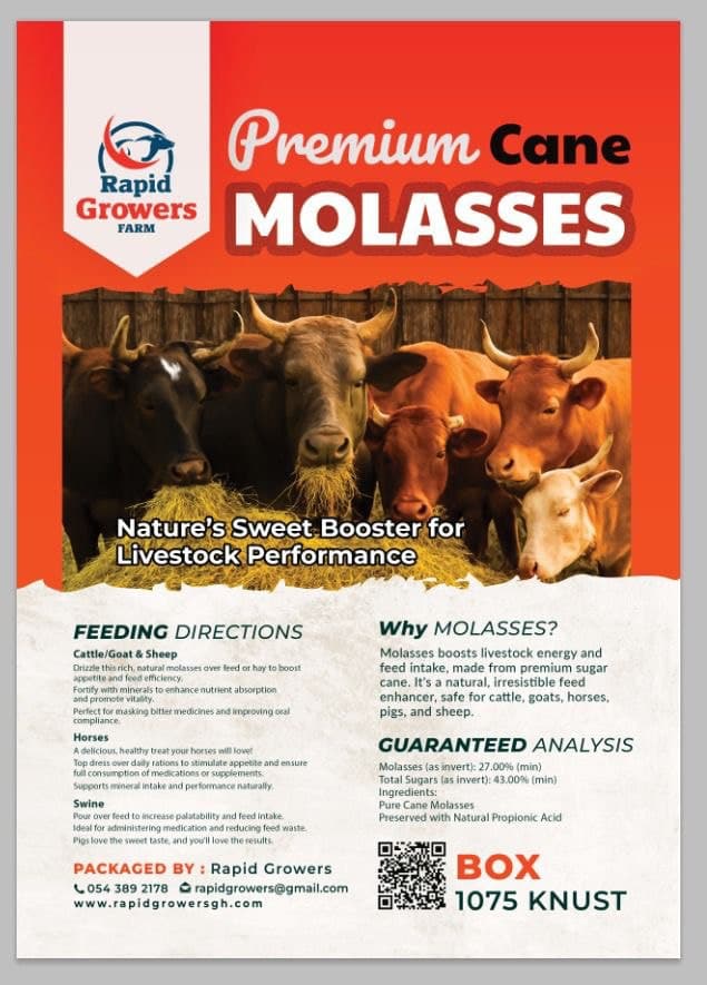 Molasses